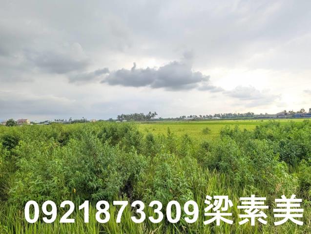 台南白河農地-6