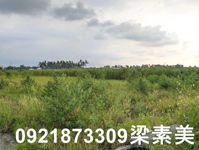 台南白河農地-7