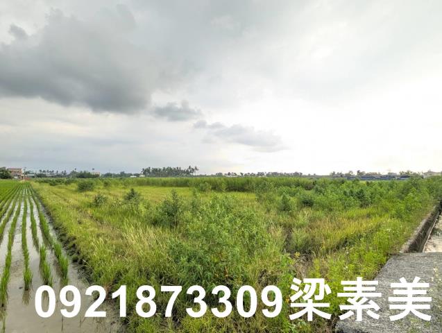 台南白河農地-8