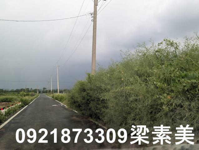 台南白河農地-13