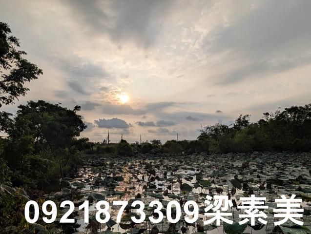 台南白河農地-15
