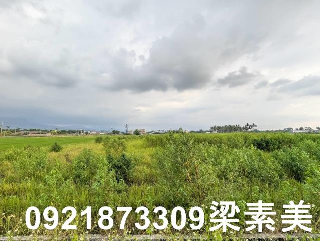 台南白河農地-2