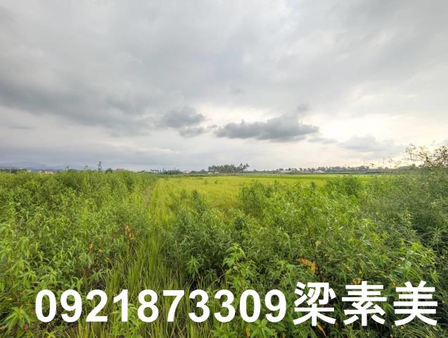 台南白河農地-8