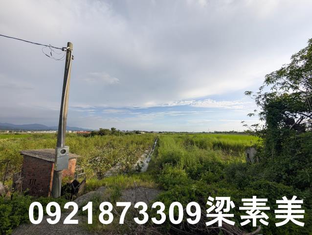 台南白河農地-2
