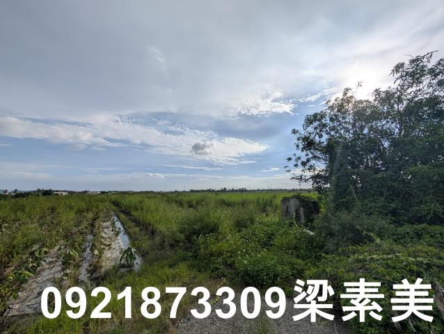 台南白河農地-6