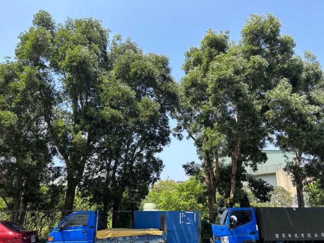 苗栗竹南工業地-2
