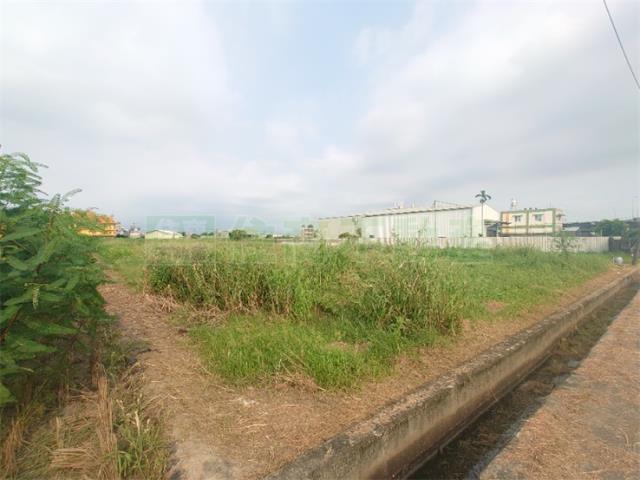 大寮農地-10