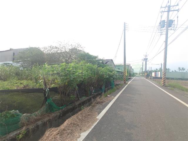 大寮農地-4