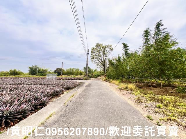 台南農地-3
