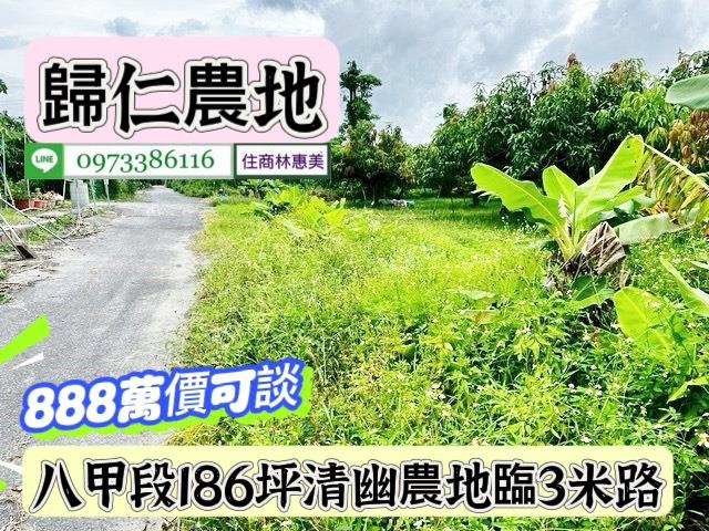 台南農地-4
