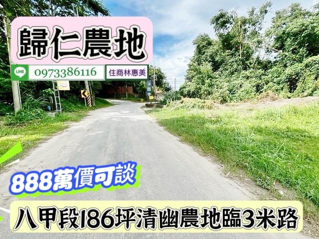 台南農地-6