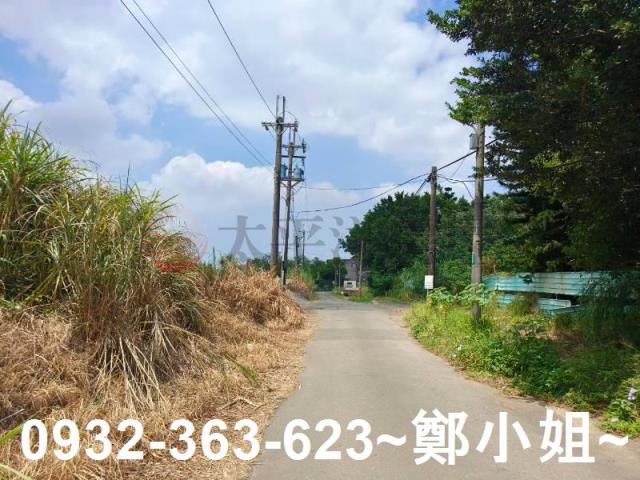 桃園農地-8