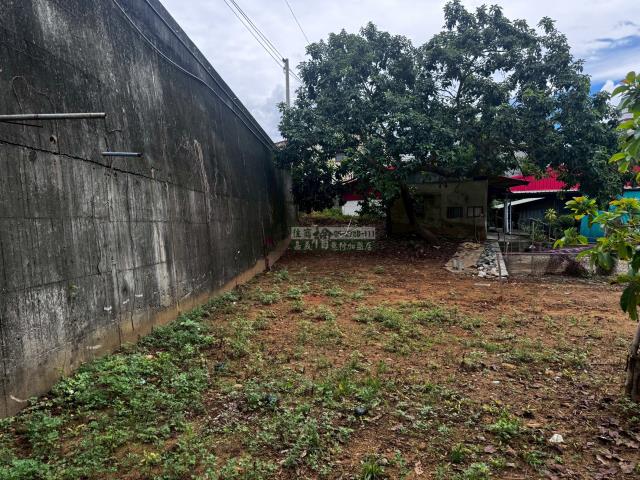 東區農地-4