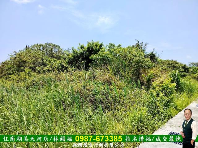 安南農地-6