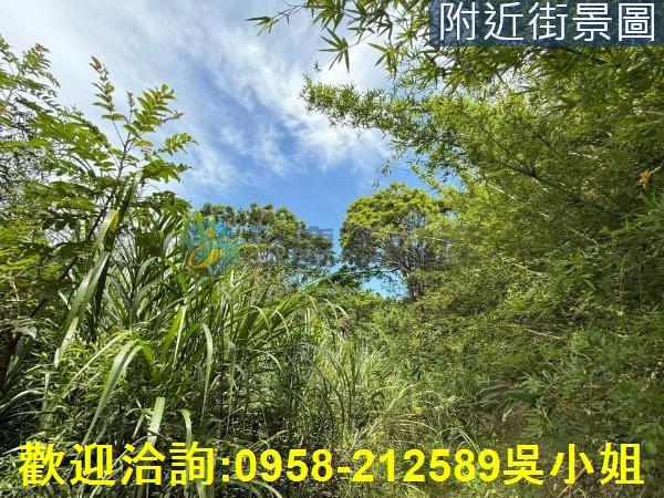 新埔山坡地-7
