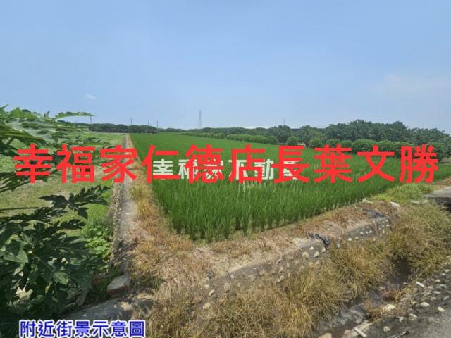 台南農地-7