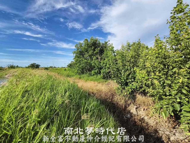 台南農地-5
