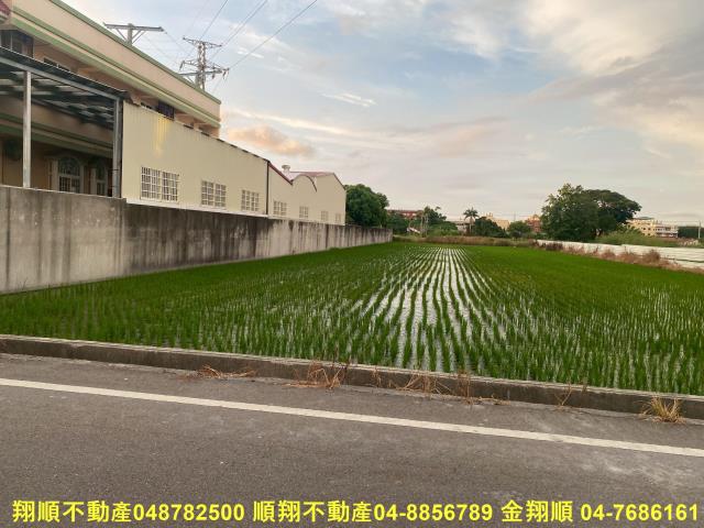 彰化秀水農地-7