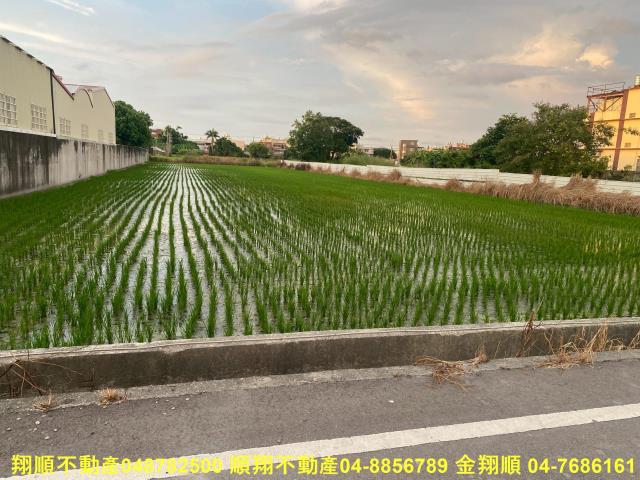 彰化秀水農地-8