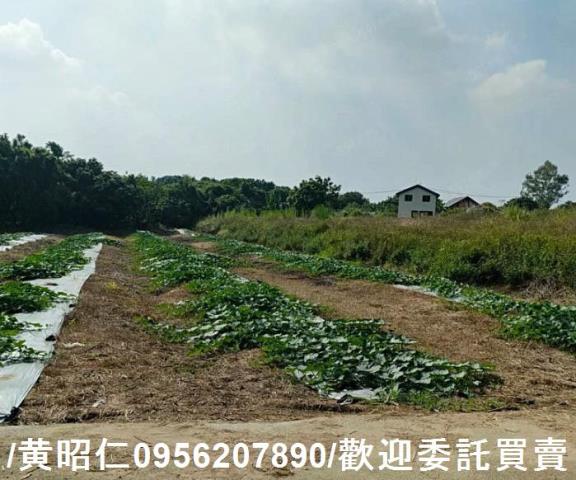 台南大內農地-10