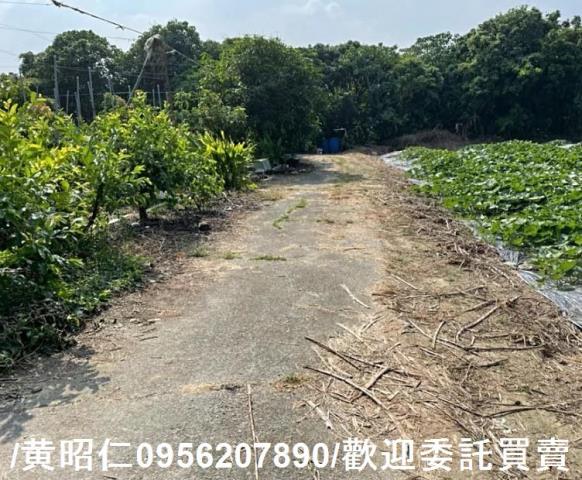 台南大內農地-11