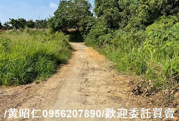 台南大內農地-12