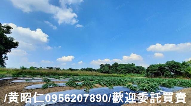 台南大內農地-5