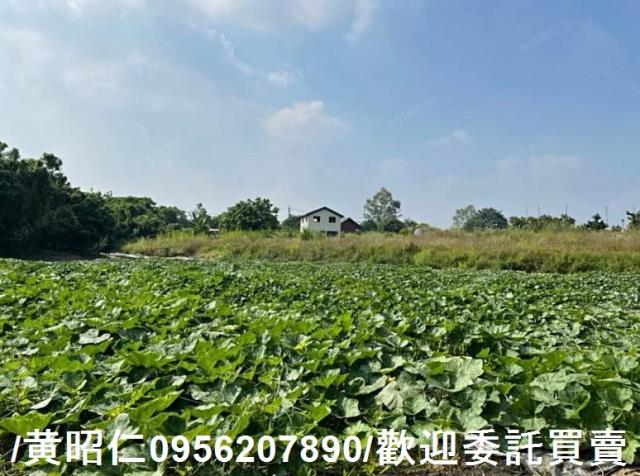 台南大內農地-6