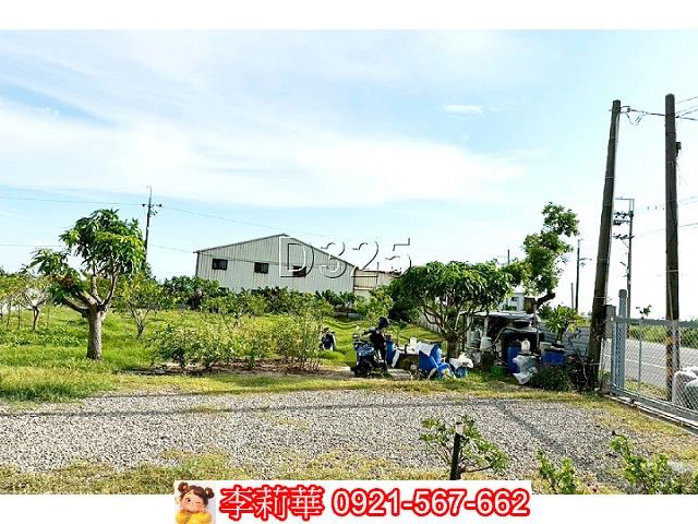 台南佳里農地-6
