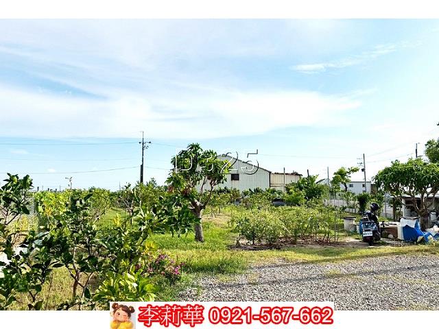 台南佳里農地-7