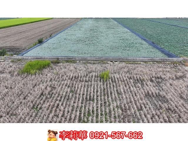 台南麻豆農地-11