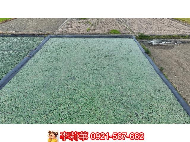 台南麻豆農地-12