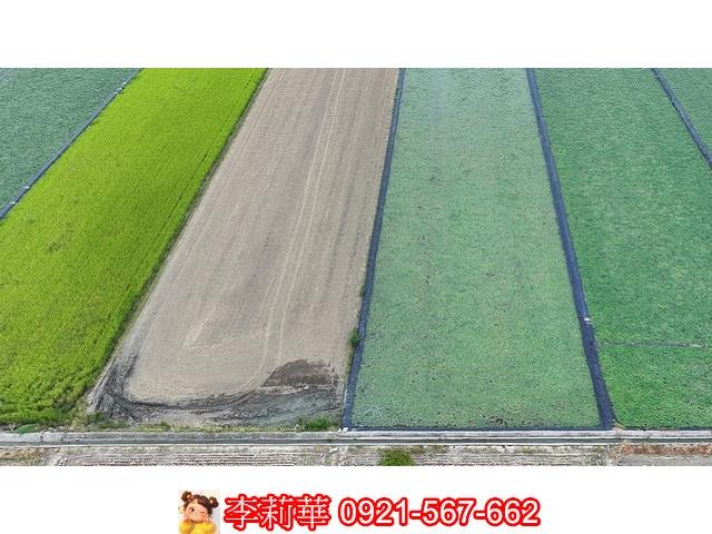 台南麻豆農地-1