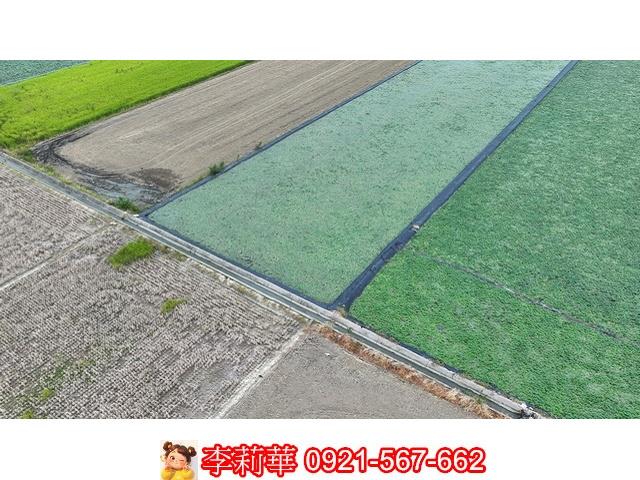 台南麻豆農地-7