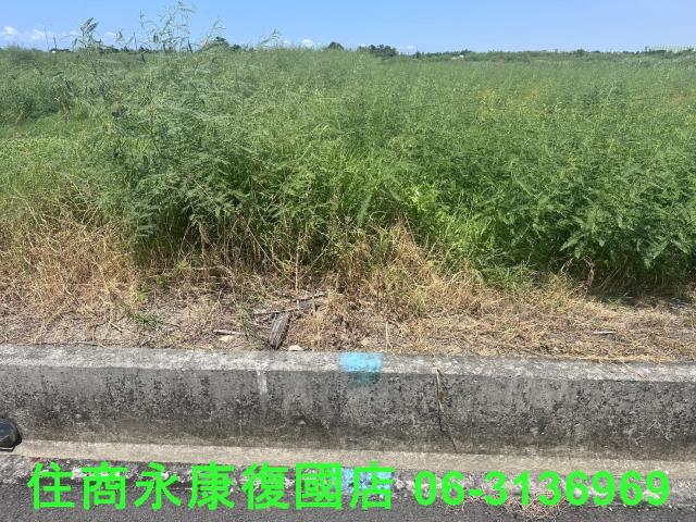 台南農地-5