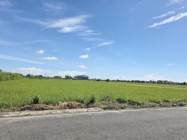 台南農地-4