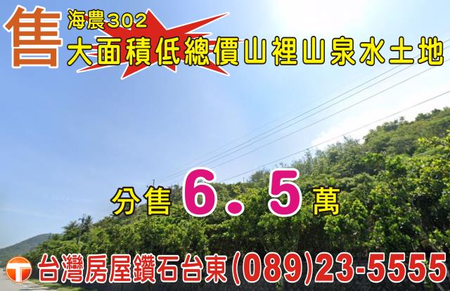 台東成功農地-2