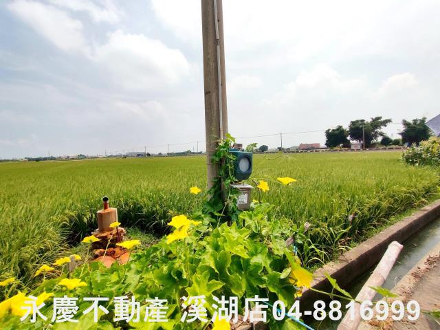 彰化埔鹽農地-5