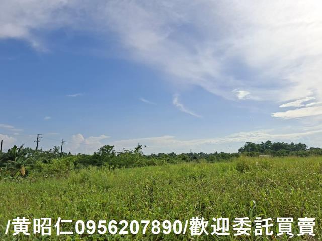 台南關廟農地-2