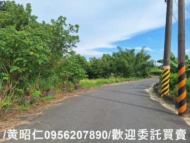 台南關廟農地-5