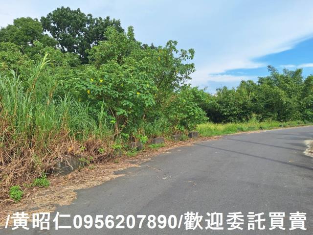 台南關廟農地-7