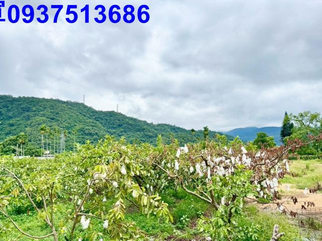 員山農地-2