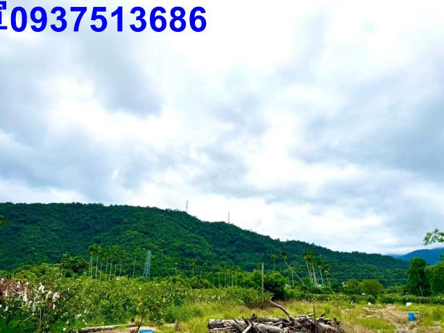 員山農地-4