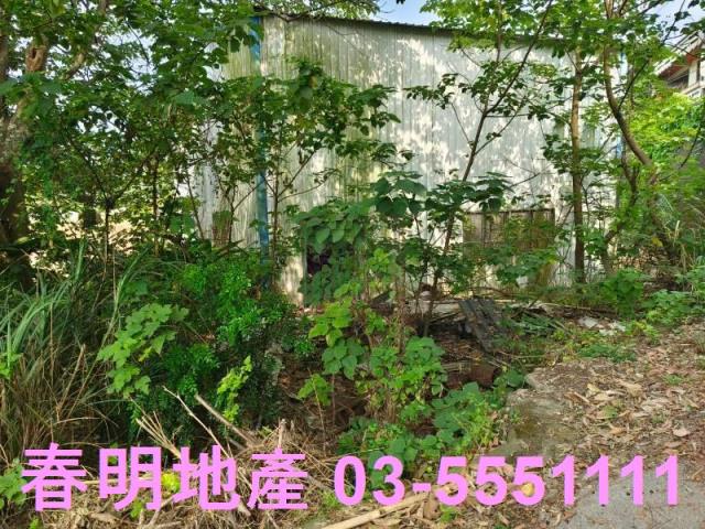 香山農地-7