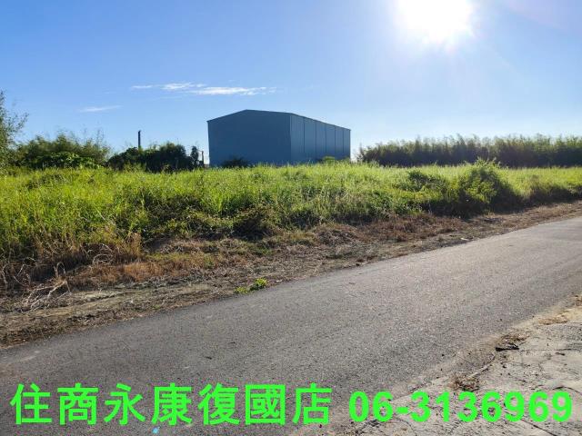 關廟農地-13