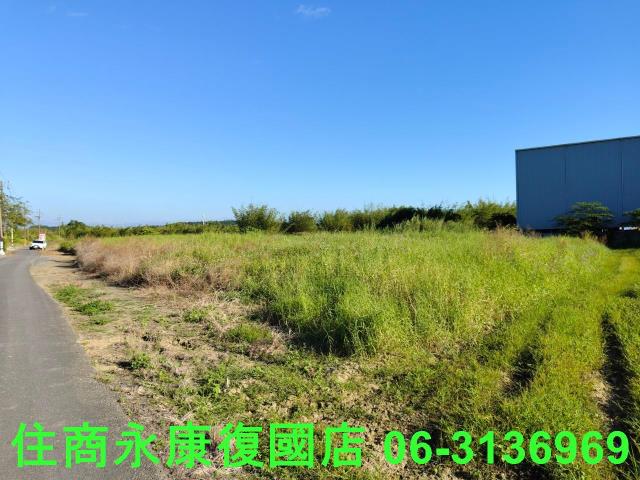 關廟農地-9