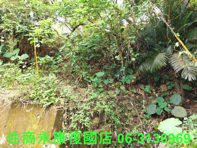 南化農地-5