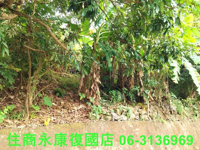 南化農地-7