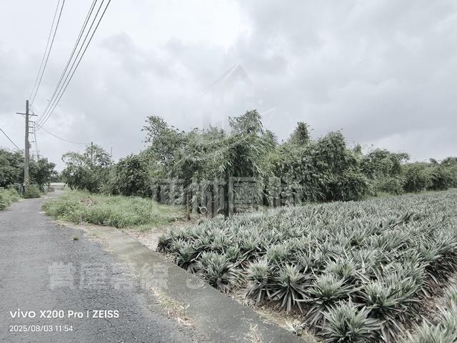 關廟農地-1