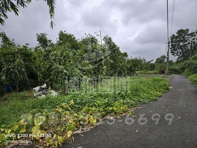 關廟農地-5